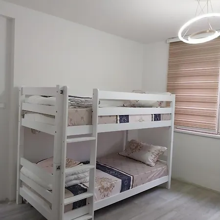 Hostel Dm And *